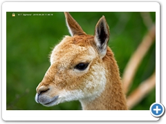Common004